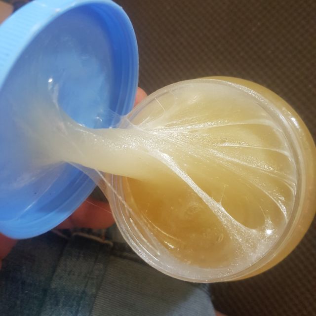 Keo bẫy chim,  khuyên , sẻ,  chào mào, họa my, cu gáy, cò , vạc,  khuớu,  sáo chuột  (cam kết bán hàng chất lượng có bảo