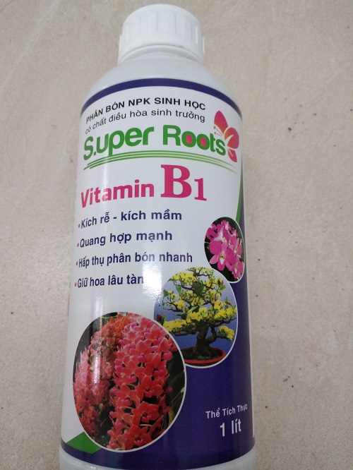 Phân bón sinh học super roots vitamin b1 chai 1 lít