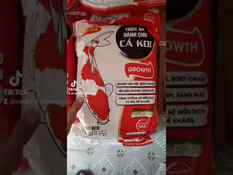 5KG Cám cá Koi tăng trưởng King Feed NEW (42%Đạm) 5kg