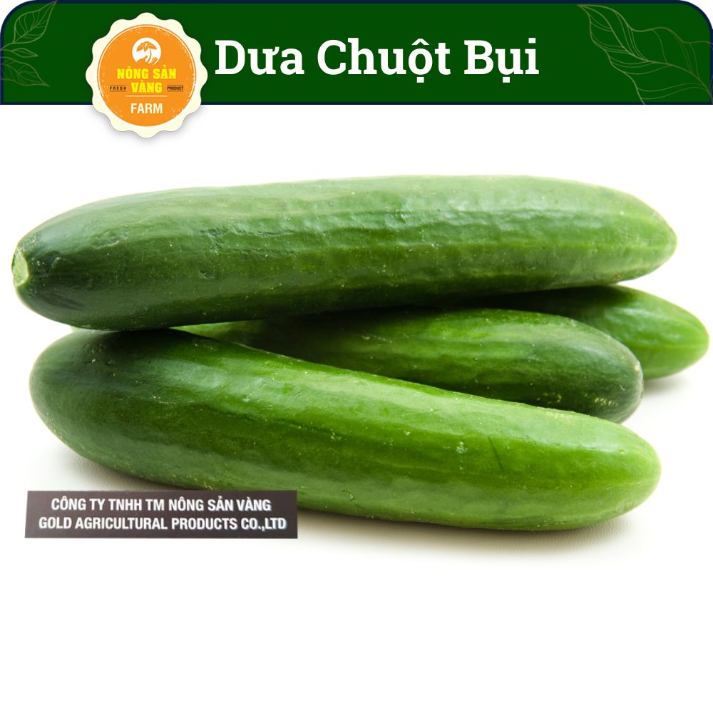 Hạt giống Dưa Chuột Chùm Siêu Trái, Dễ Trồng, Năng Suất Cao (gói 10 Hạt) - Nông Sản Vàng