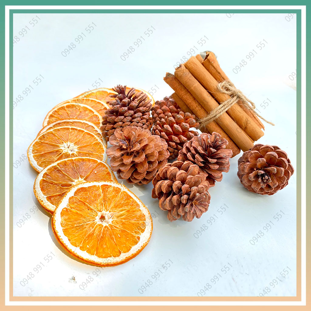 Bộ phụ kiện trang trí cây thông Noel. Cam quế và thông phụ kiện trang trí giáng sinh