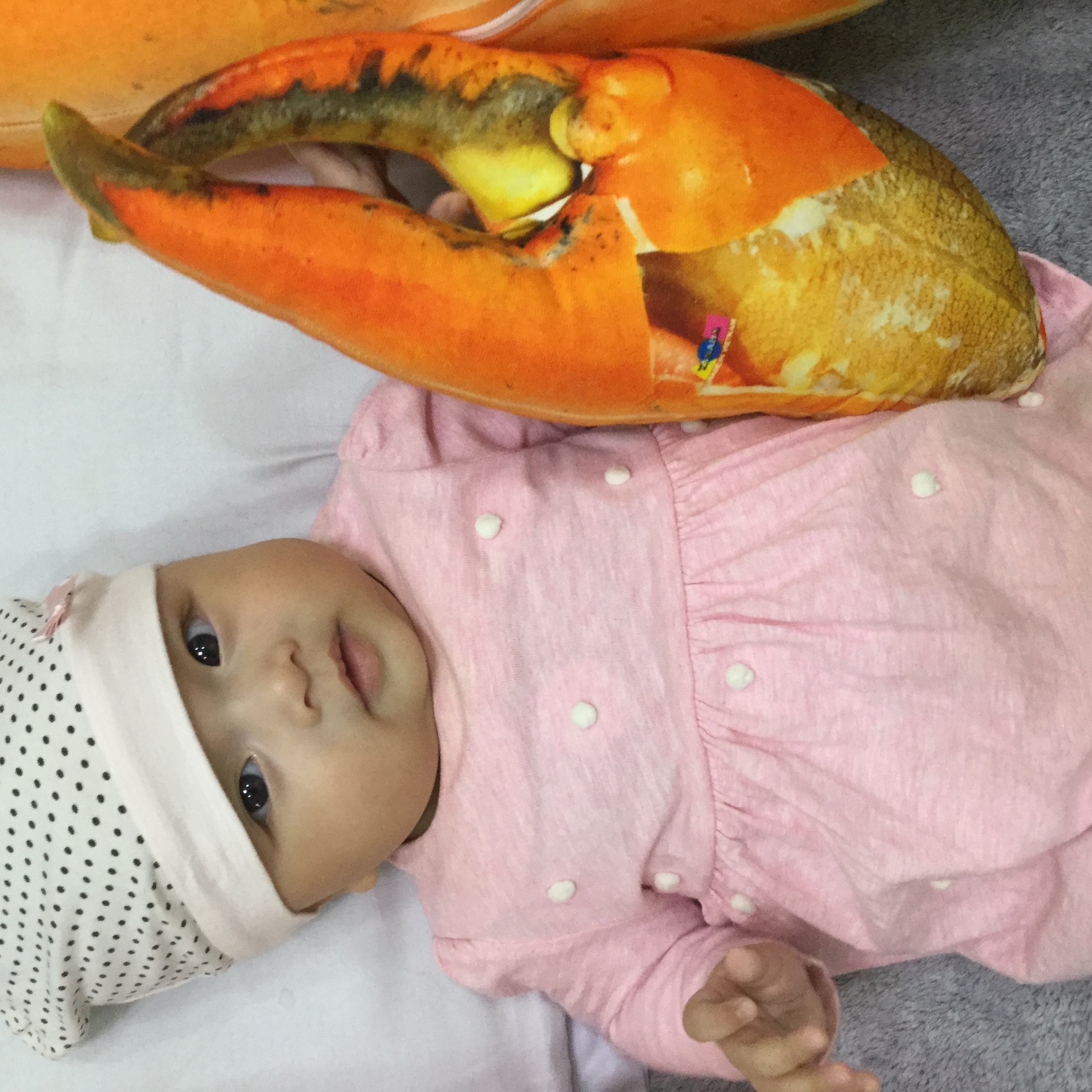 [HCM]Gối ôm 3D cho bé Loại 1  Càng Cua 40cm