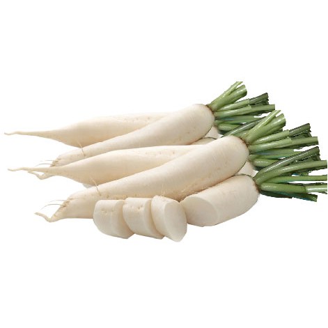 Gói 20GR hạt giống Củ Cải Hà Nội Cao Sản (Giống cải muối dưa)