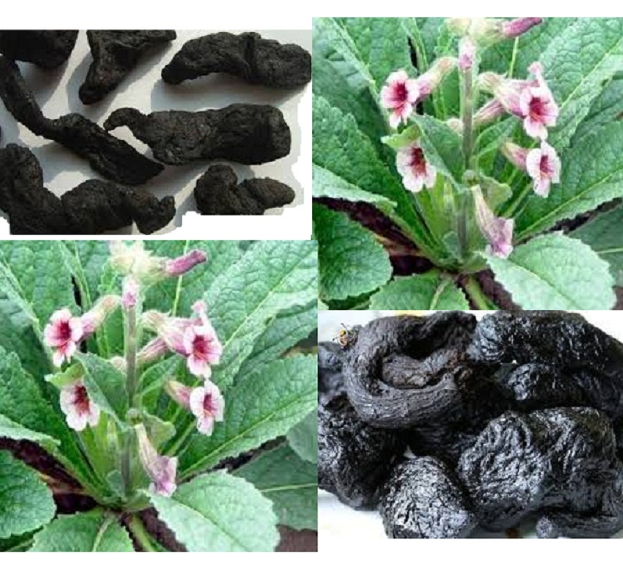 1kg Thục Địa Thiên Nhiên Loại Tốt -  có tặng quà