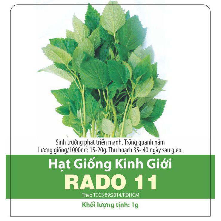 Hạt giống rau kinh giới - giống rau thơm kinh giới- chất lượng cao dễ trồng chống chịu sâu bệnh tốt