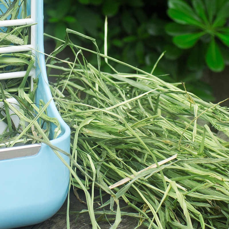 1kg cỏ alfalfa loại ngon cho thỏ- bọ ú -guinea pig