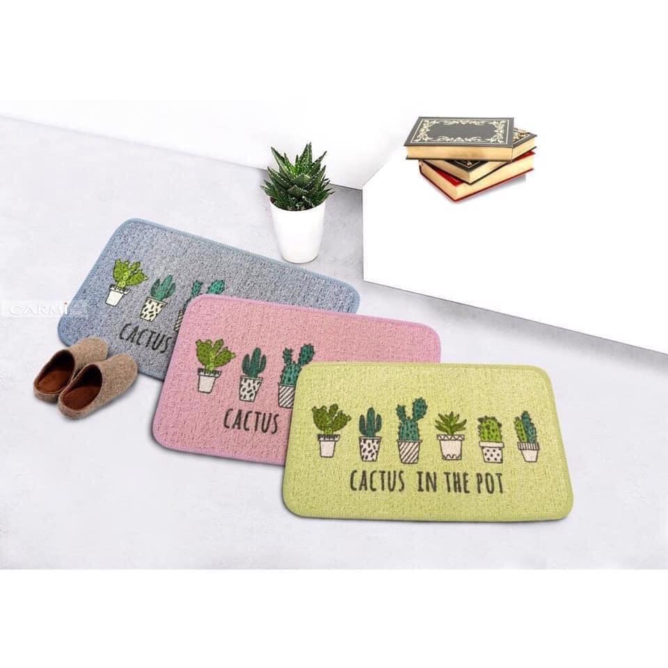 Thảm lau chân cao cấp carmi
