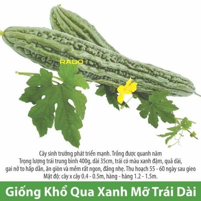 Hạt giống khổ qua xanh mỡ trái dài 302
