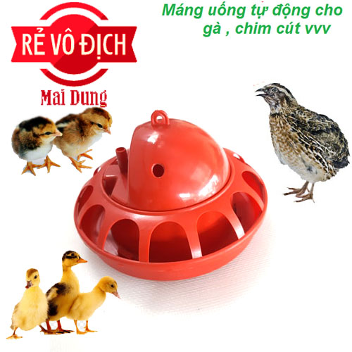 máng uống cho chim cút - gà - vịt - mới nở