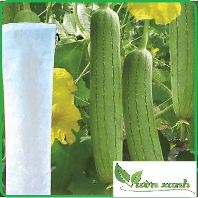 Túi Bao Mướp, Bầu, Bí (60x15cm) Ánh Dương - Túi Bao Trái Cây tránh ong,côn trùng, Bao trái Ánh Dương