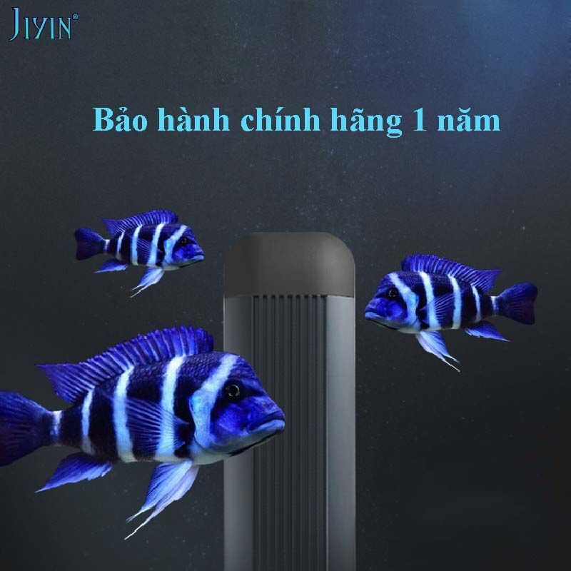 Đèn bể cá ali đầu bò jiyin