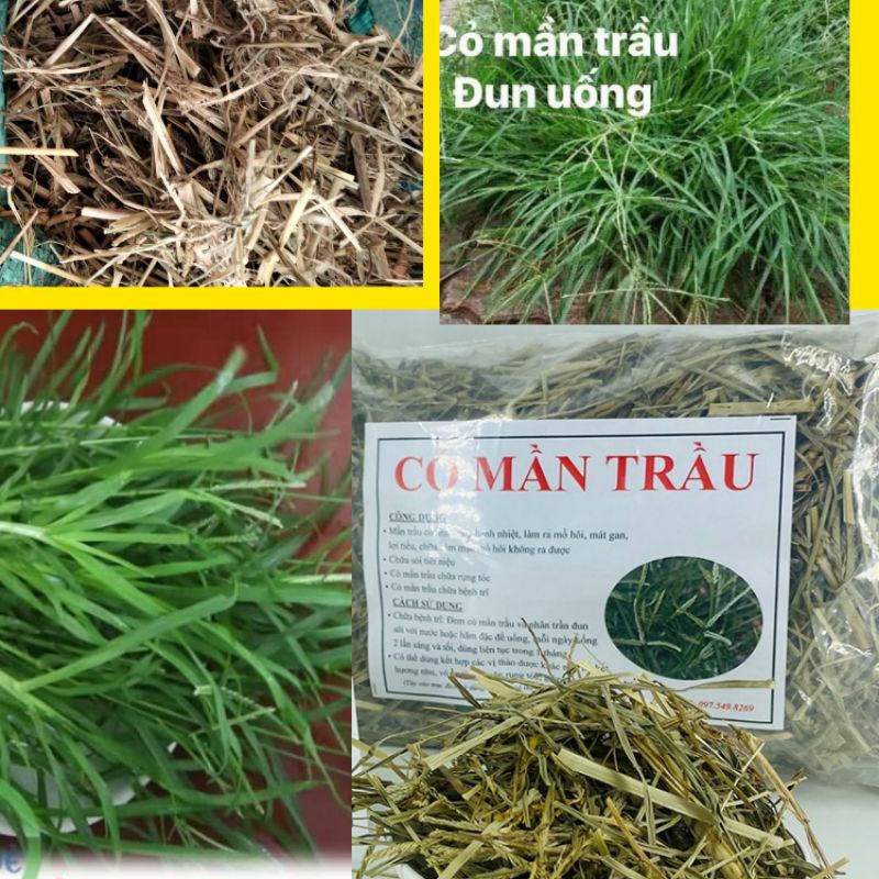 1Kg Cỏ Mần Trầu khô hàng sạch chuẩn