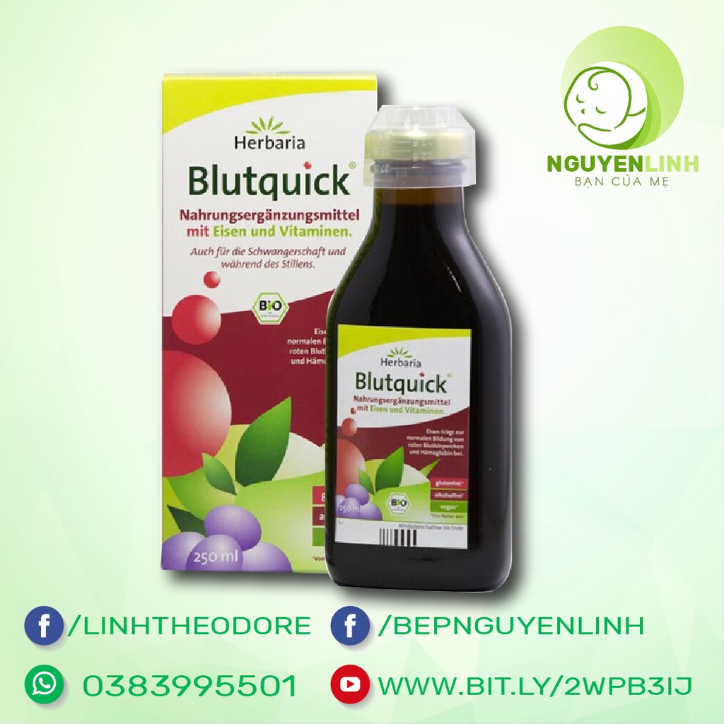 Dung dịch bổ sung sắt hữu cơ Blutquick chai 250ml