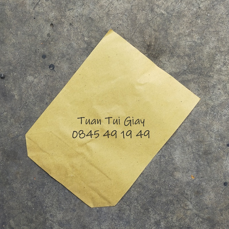 100c túi giấy vàng 13x18