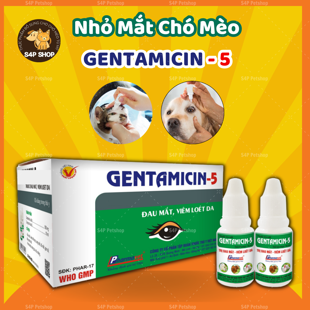 Genta.micin 5 nhỏ mắt cho chó mèo giúp giảm đau mắt, viêm mắt, chảy nước mắt