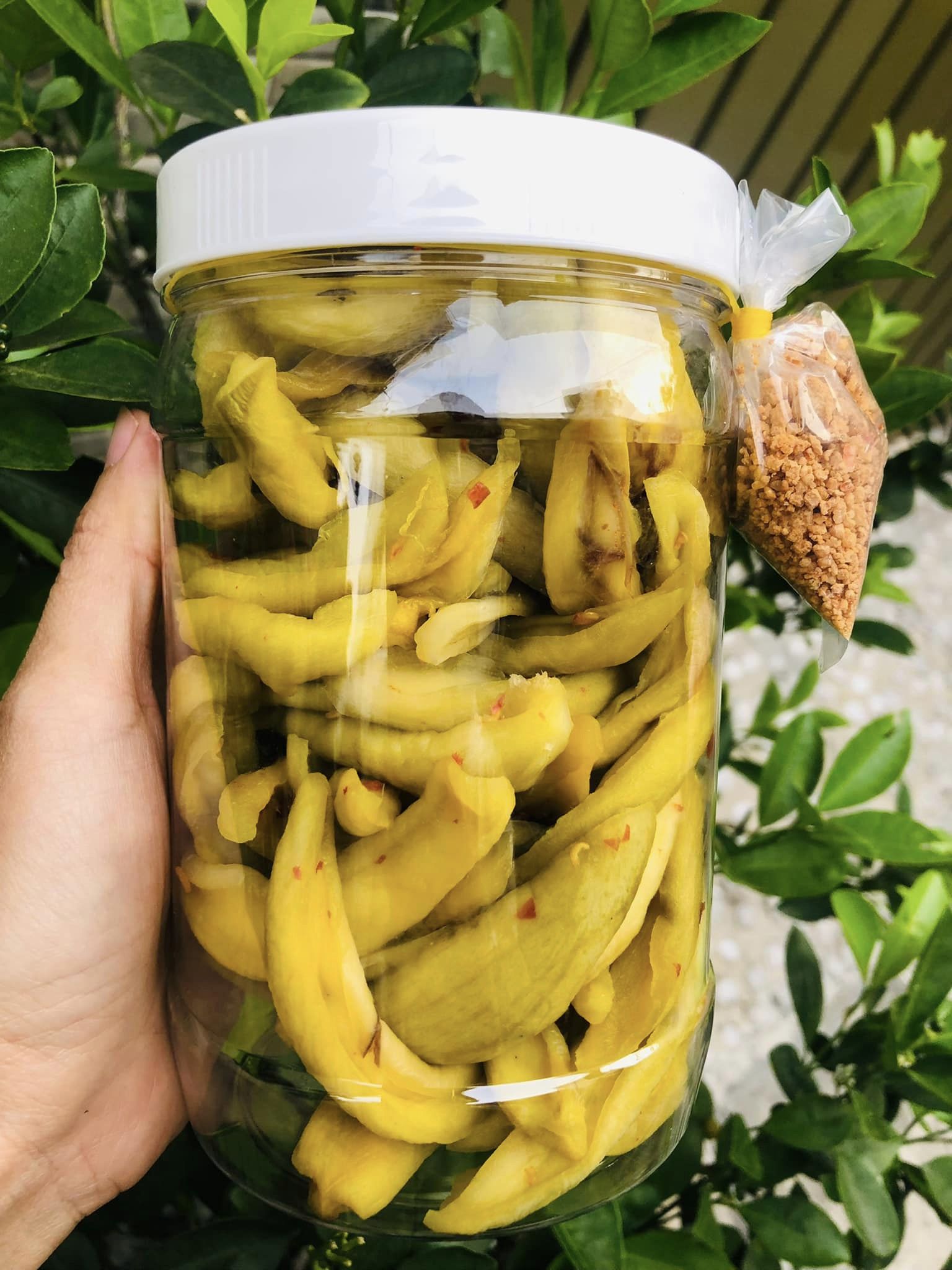500g xoài sấy muối ớt vẫn còn vị chua chua của xoài xanh, kèm muối tây ninh cay