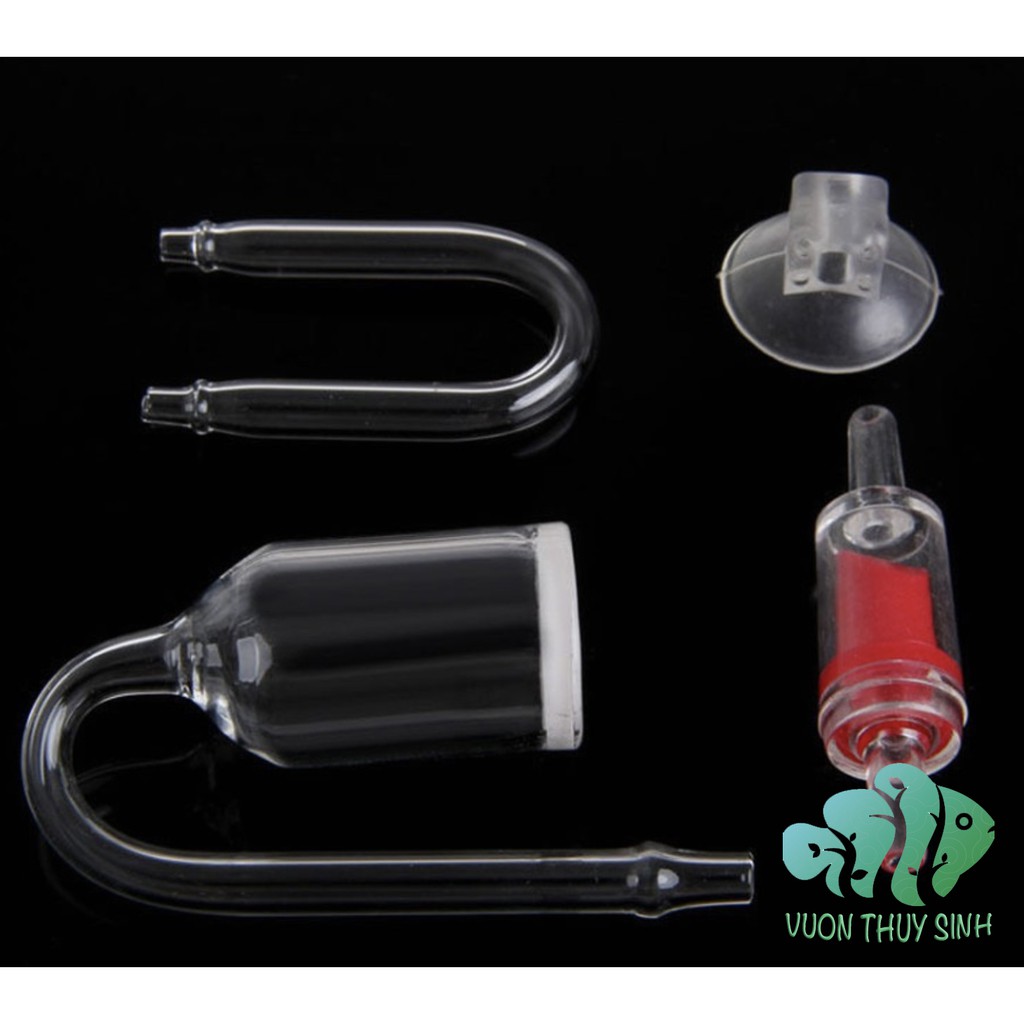 Cốc sủi CO2 thuỷ tinh + ống chữ U chống gập + van một chiều