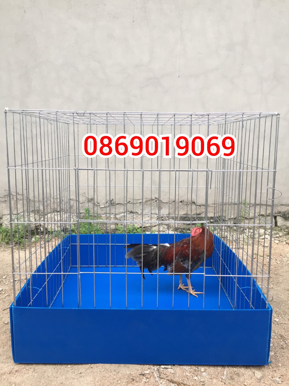 CHUỒNG GÀ 80V CAO 1M  (hàng ráp sẳn )