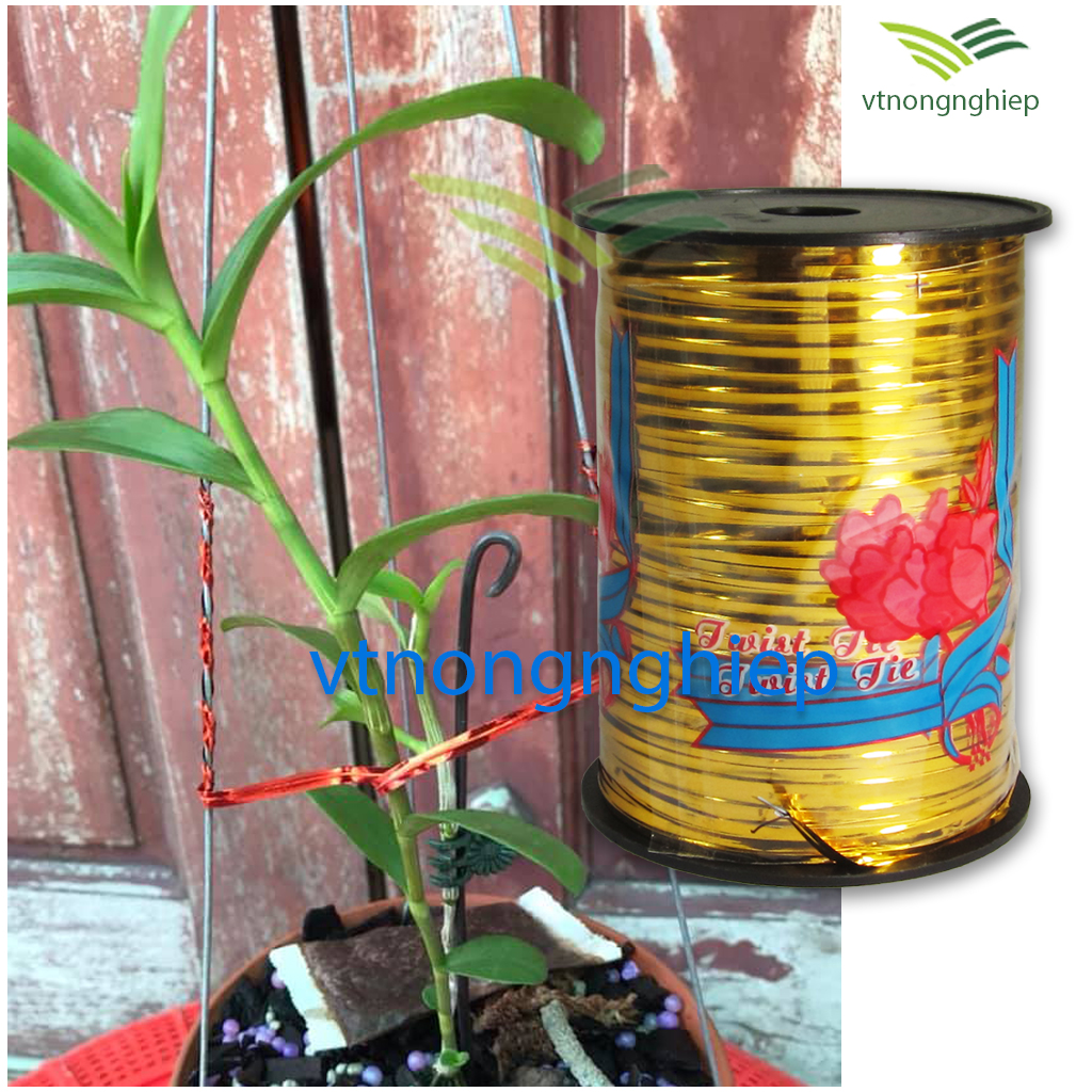 Dây buộc hoa lan, dây kẽm bọc nhựa phủ kim tuyến nhiều màu sắc, chuyên dùng buộc hoa lan, cây cảnh