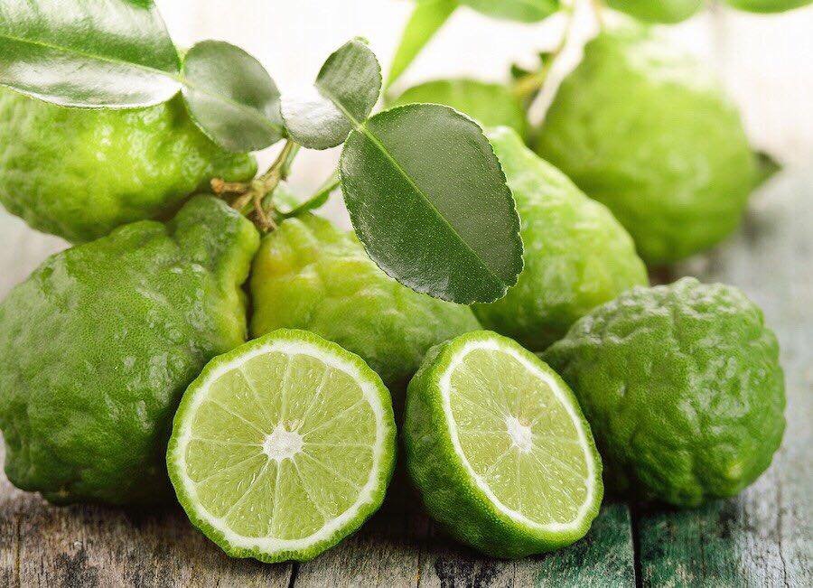 Hạt giống chanh Thái, chanh chúc, chanh bưởi Thái - 10 hạt