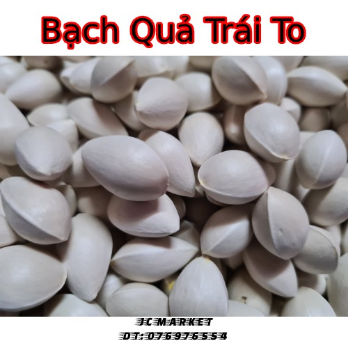 Bạch quả trái to