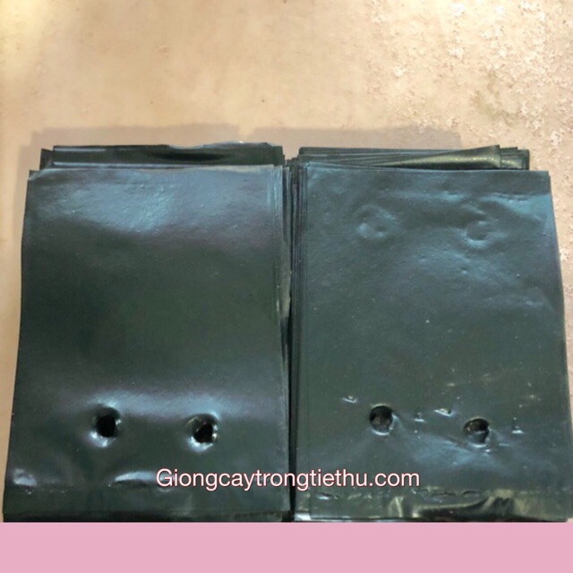 TÚI BẦU ƯƠM CÂY GIỐNG (8 x 11cm) 1kg