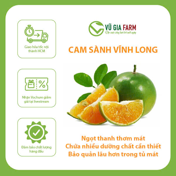[Hcm] Orange Squeezer – Fresh, Juicy, with a Distinctive Flavor