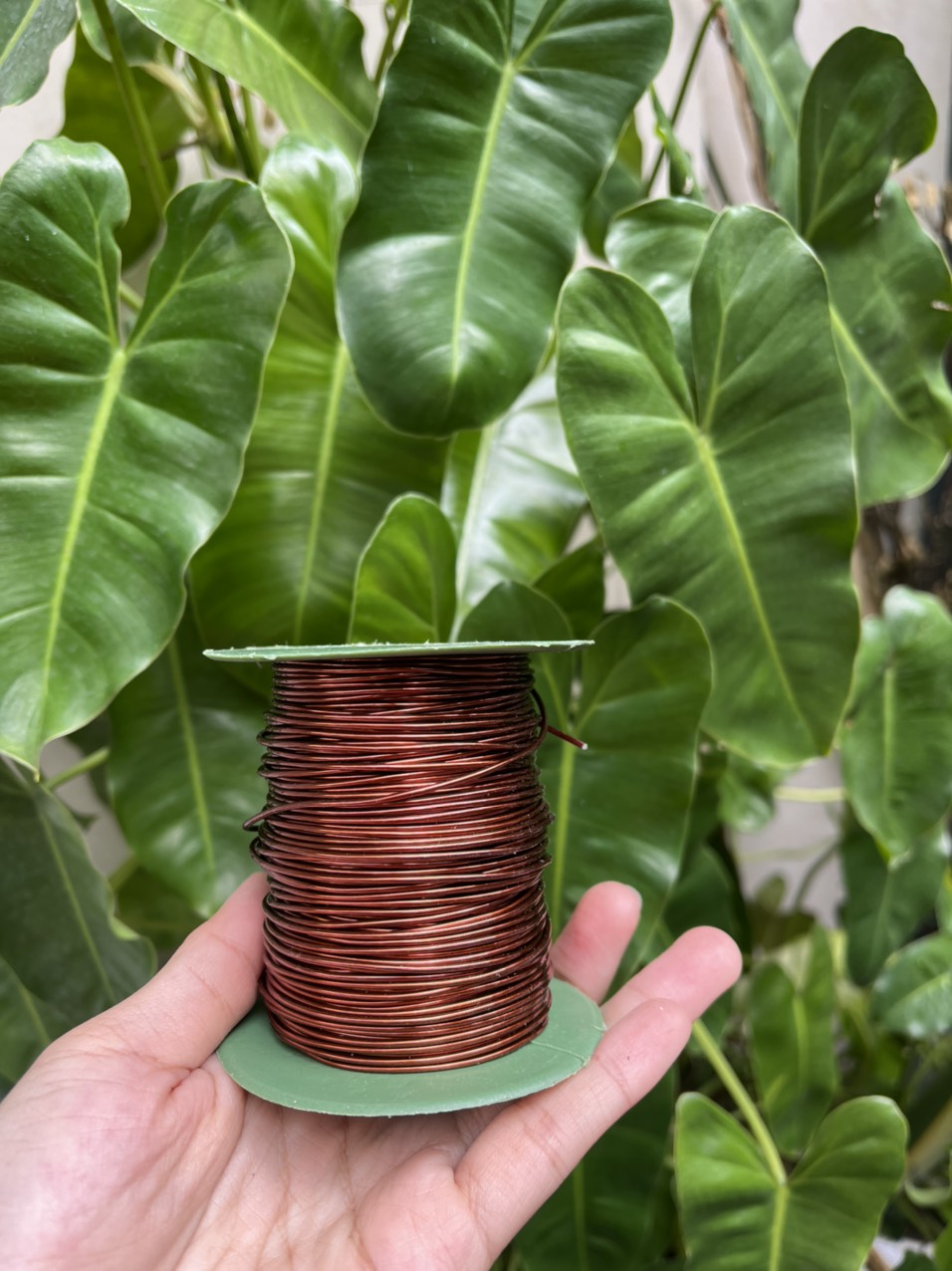 Dây nhôm mạ đồng , buộc cố định thân cây, hoa lan , cây kiểng , bonsai ! Cuộn nhỏ 200gram