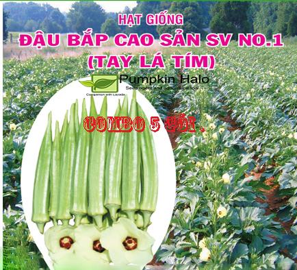 [HCM]COMBO 5 GÓI_HẠT GIỐNG ĐẬU BẮP CAO SẢN SV NO1 TAY LÁ TÍM TRÁI XANH NHẠT .GÓI 20GRAM