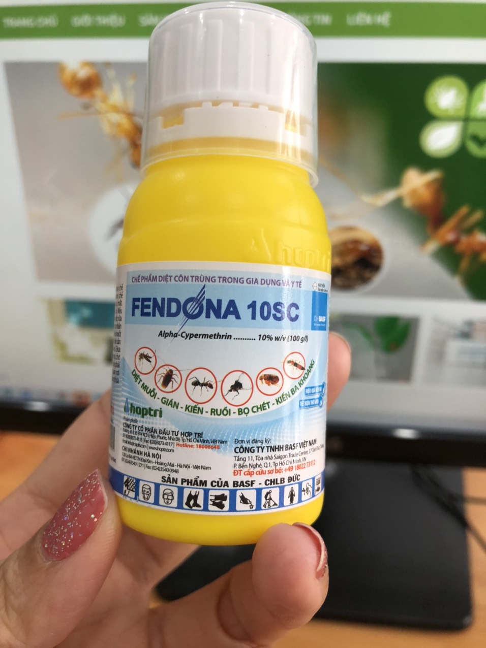 Fendona 10SC - Thuốc diệt muỗi, diệt kiến, diệt gián của Đức - Loại chai 50ml