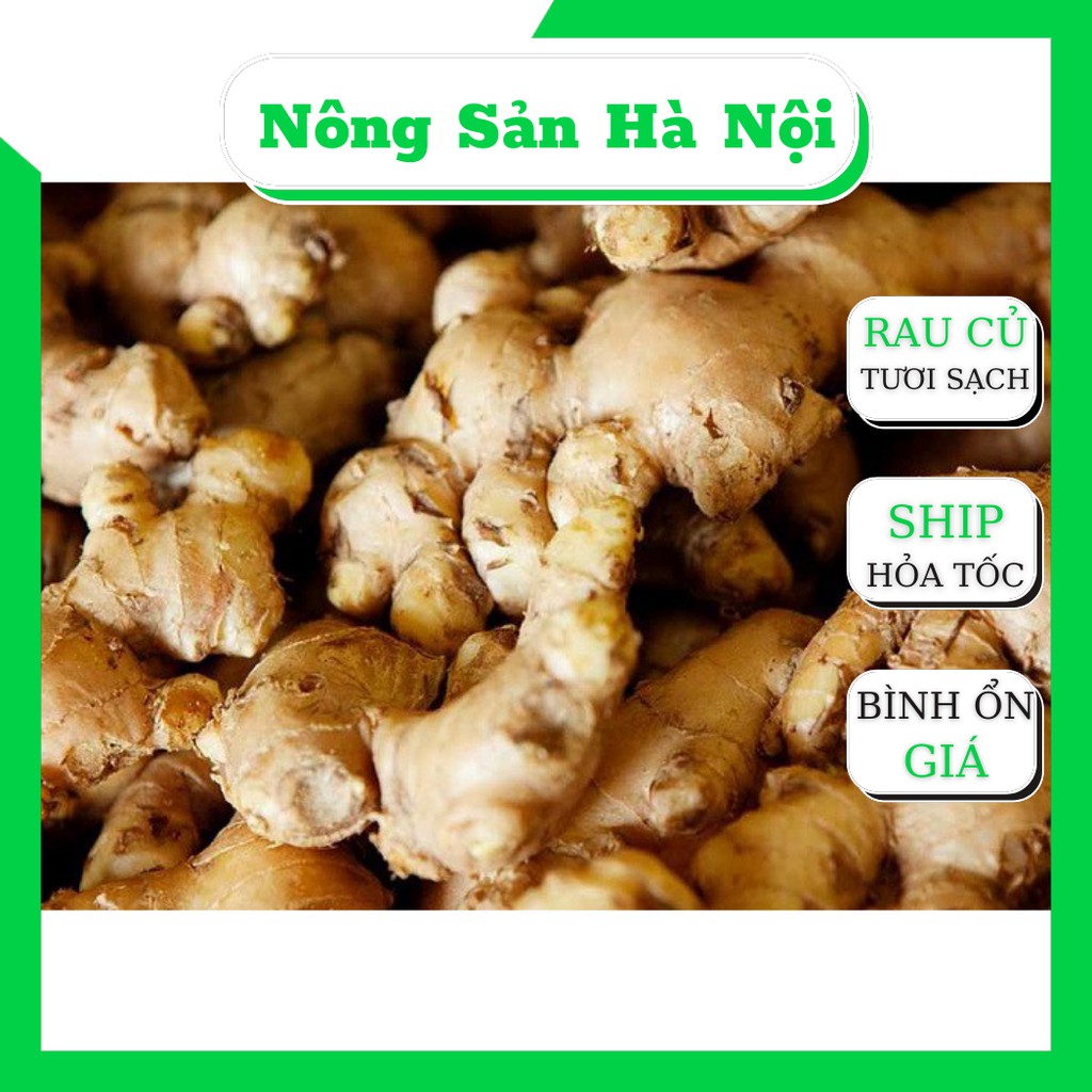 Củ Gừng Tươi 100% không chất bảo quản - đảm bảo vệ sinh an toàn thực phẩm