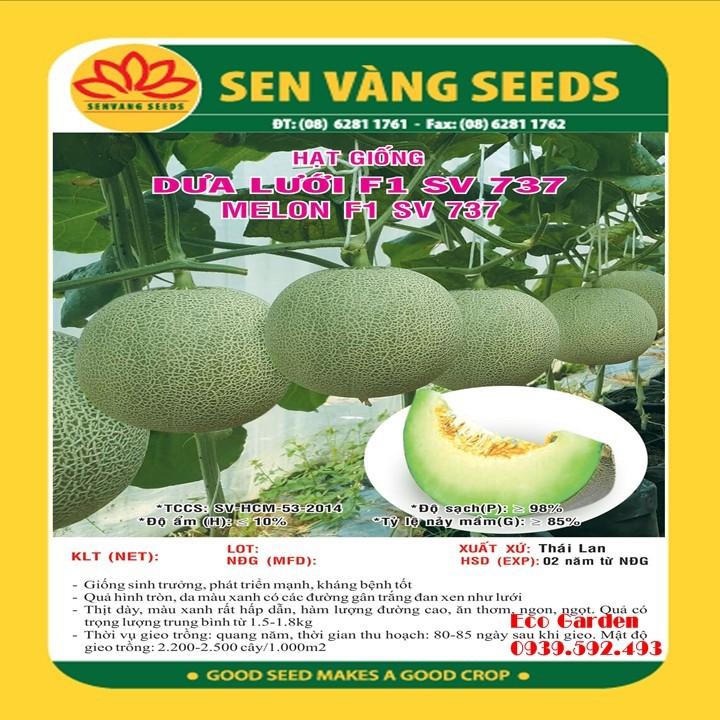 Hạt giống Dưa lưới F1 SV 737 Ruột xanh – 0.5GR