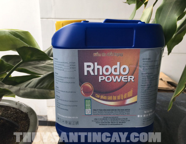 Chế phẩm vi sinh xử lý khí độc, tăng oxy hòa tan rhodo power can 5 lít