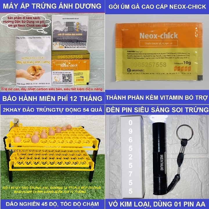Combo 4 món Máy ấp trứng gà Ánh Dương P100, 02 khay đảo nhựa, 01 đèn pin soi trứng, tặng gói úm gà cao cấp