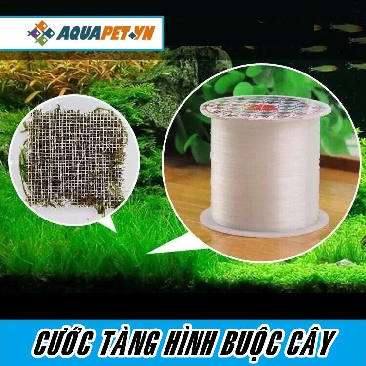 Cước tàng hình buộc rêu, cây thủy sinh