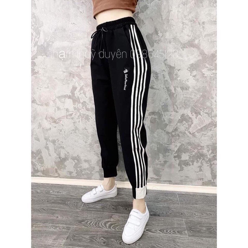 Freeship - quần thể thao gió nữ co giãn nhẹ không nhăn, quần jogger gió nữ bo chun hala fashion