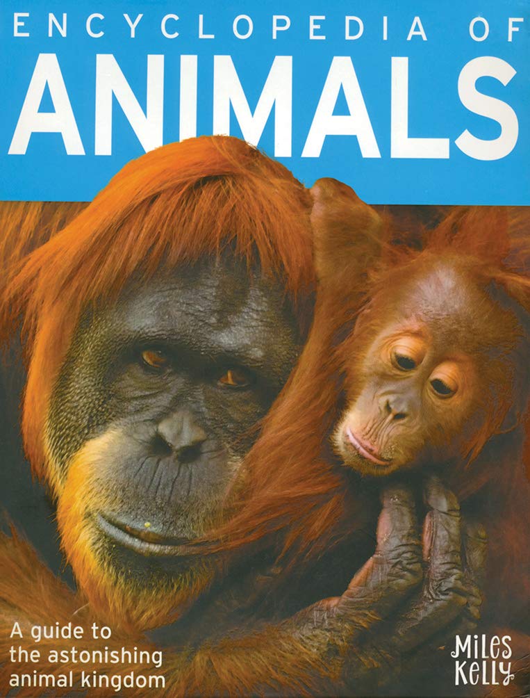B384FL ENCYCLOPEDIA OF ANIMALS - Bách khoa thư về động vật