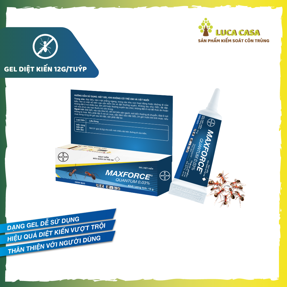 Gel Diệt Kiến Bayer Maxforce Quantum 12g xuất xứ Pháp
