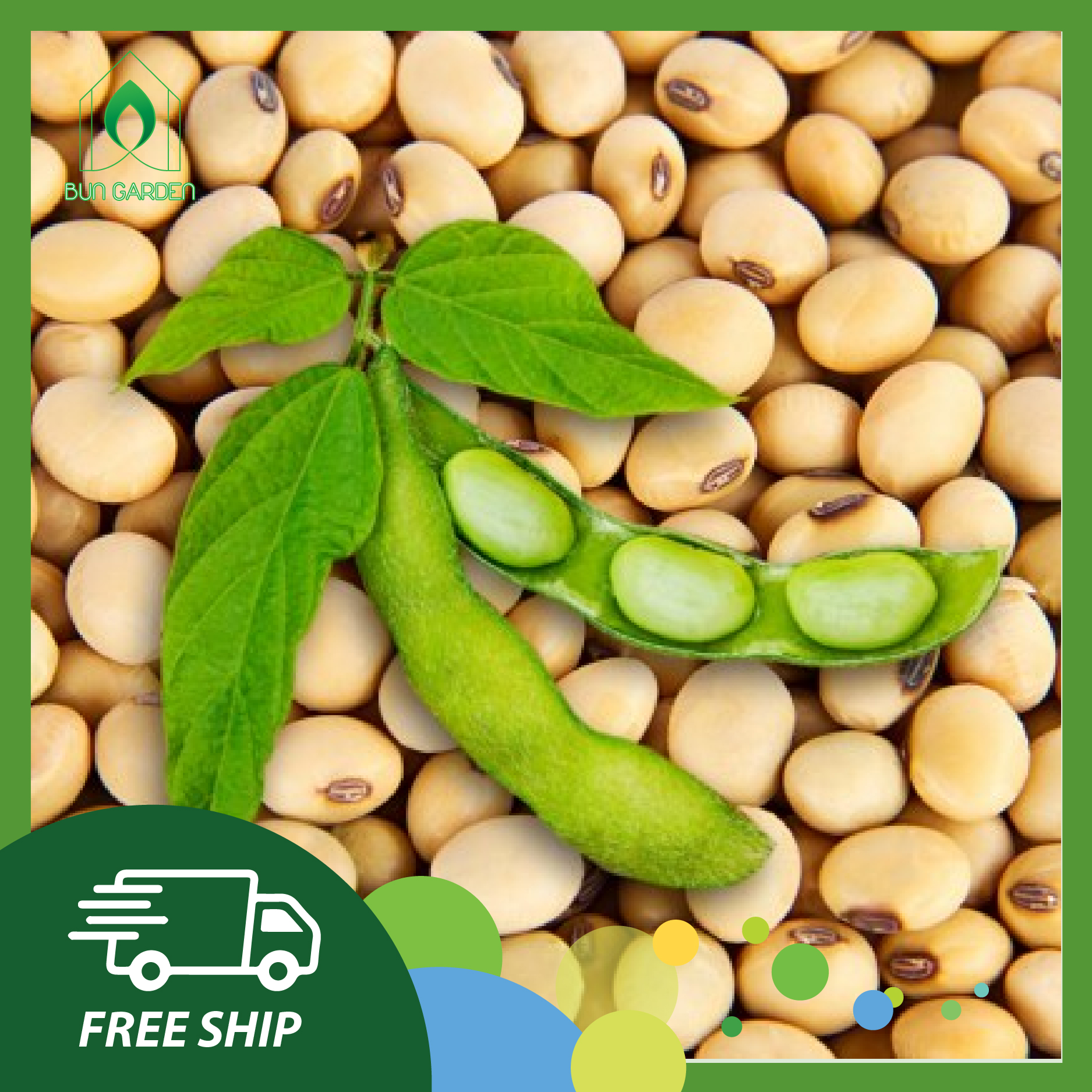 Hạt giống đậu tương - hạt giống đậu nành quê - tỷ lệ nảy mầm cao