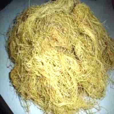 500gr Rong Rau Câu Chỉ Vàng - Rong Biển Nấu Xu Xoa