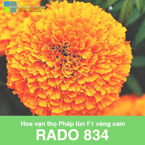 [HCM]Cúc Vạn Thọ Lùn F1 Vàng Cam -hạt giống hoa -gói 10 hạt .KHUYẾN MÃI KÈM GÓI PHÂN .