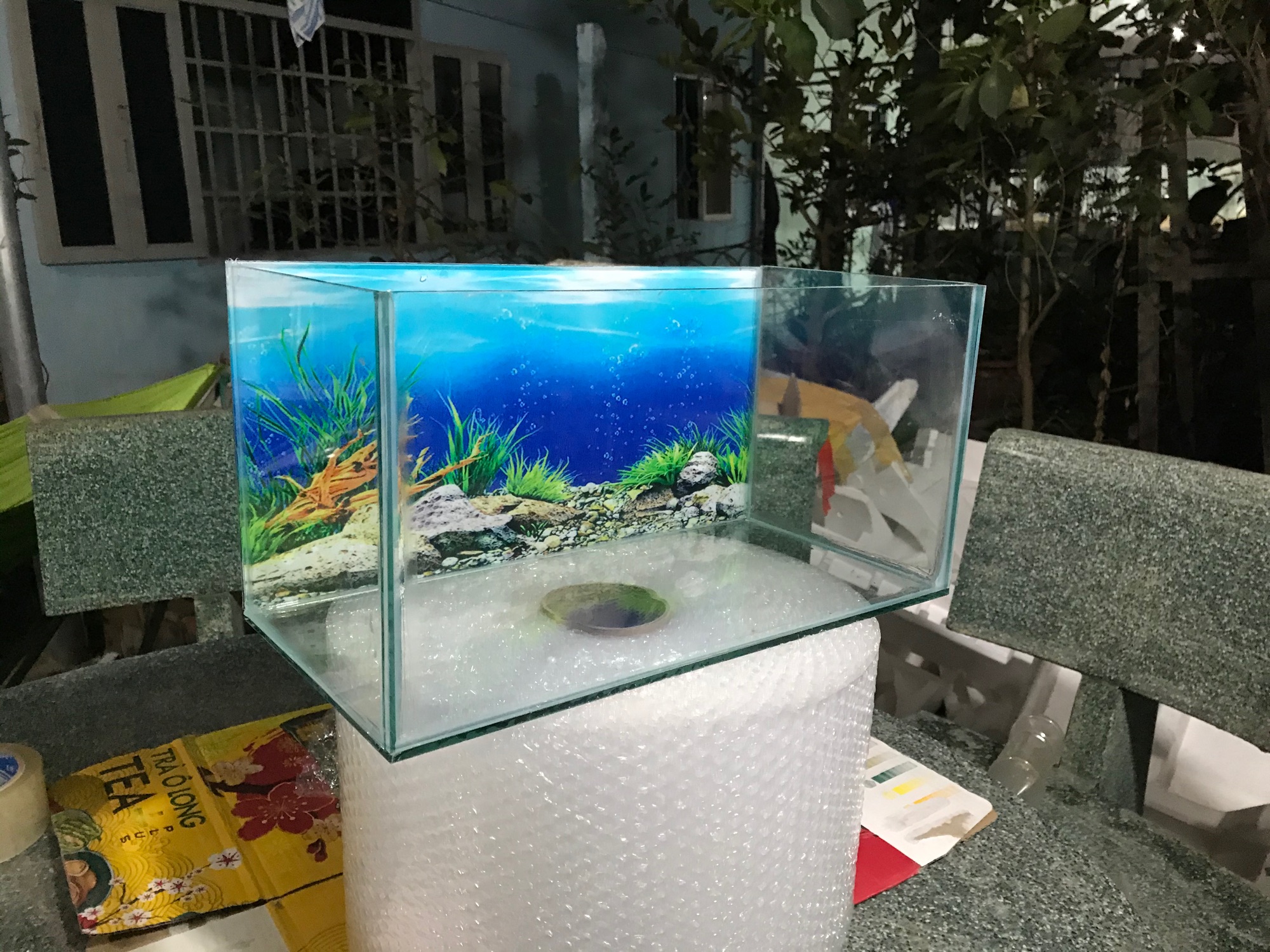Bể cá mini 20x40x20  tranh trang trí