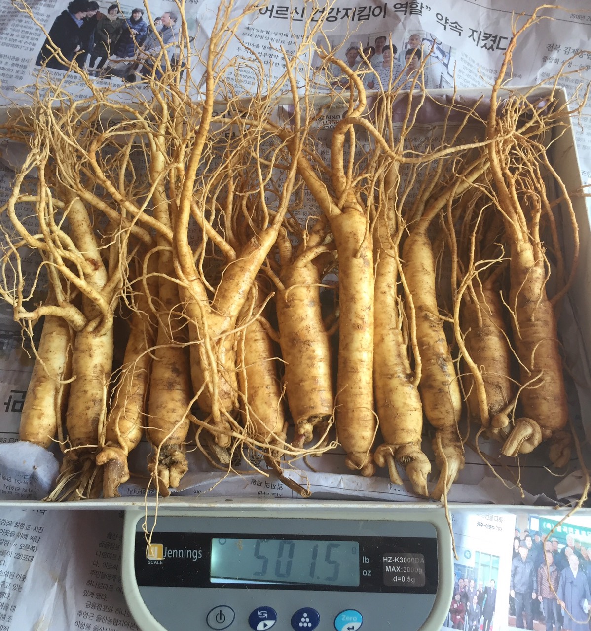 Nửa Ký Sâm Tươi Hầm Gà Hàn Quốc (10-15 củ), Nhân Sâm Hàn Quốc, có tác dụng tăng cường bồi bổ sức khỏe, sâm hàn quốc, nhân sâm tươi hàn quốc, sâm tươi ngâm mật ong, Sâm Yến Phú Khánh