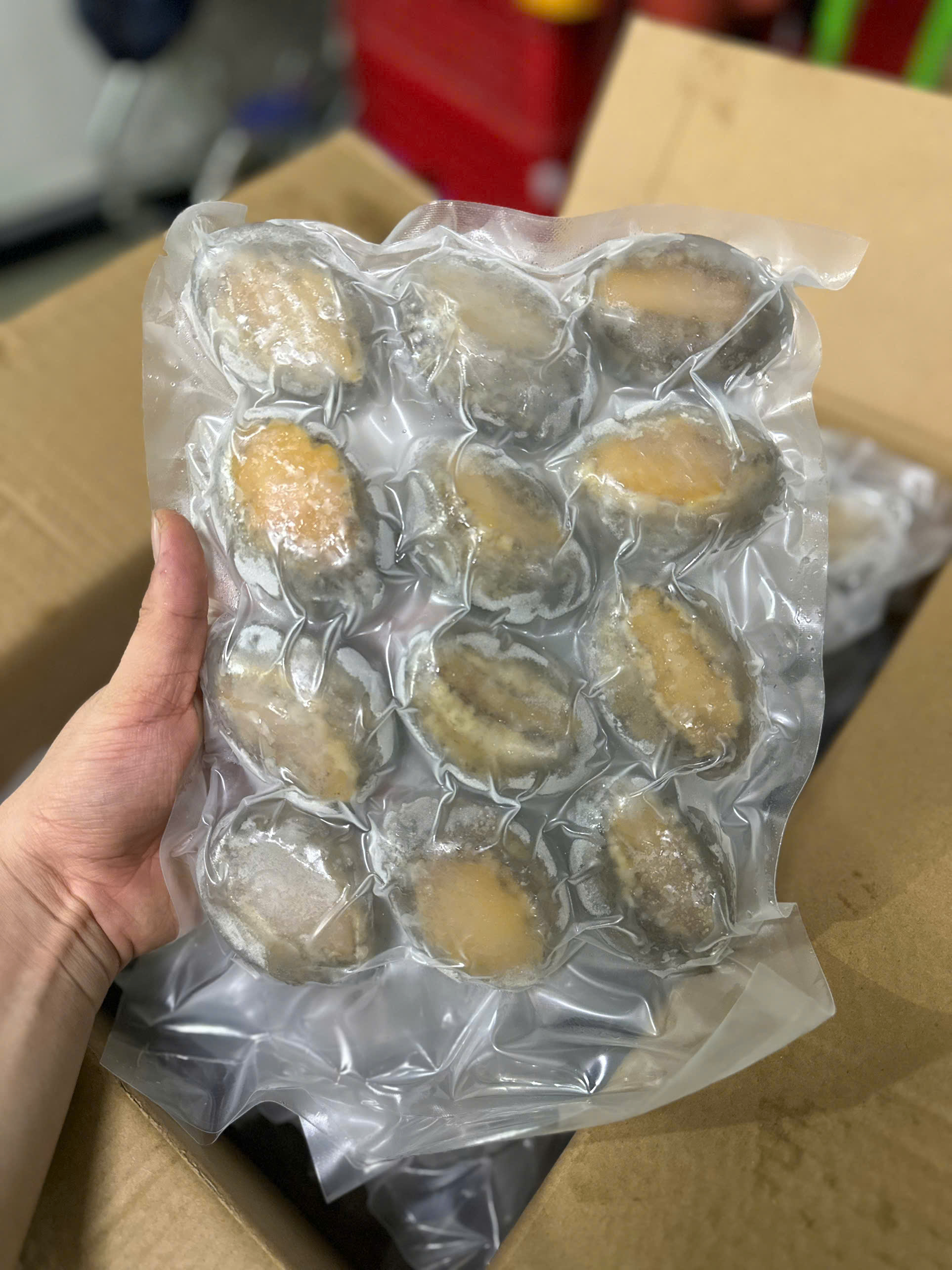 Bào Ngư size 12 con 1kg net 6 Bao Ngon (tphcm hỏa tốc)