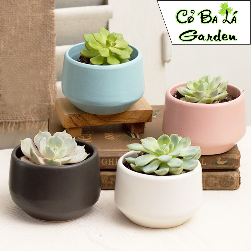 Chậu sứ bát tràng hình kim cương nhỏ