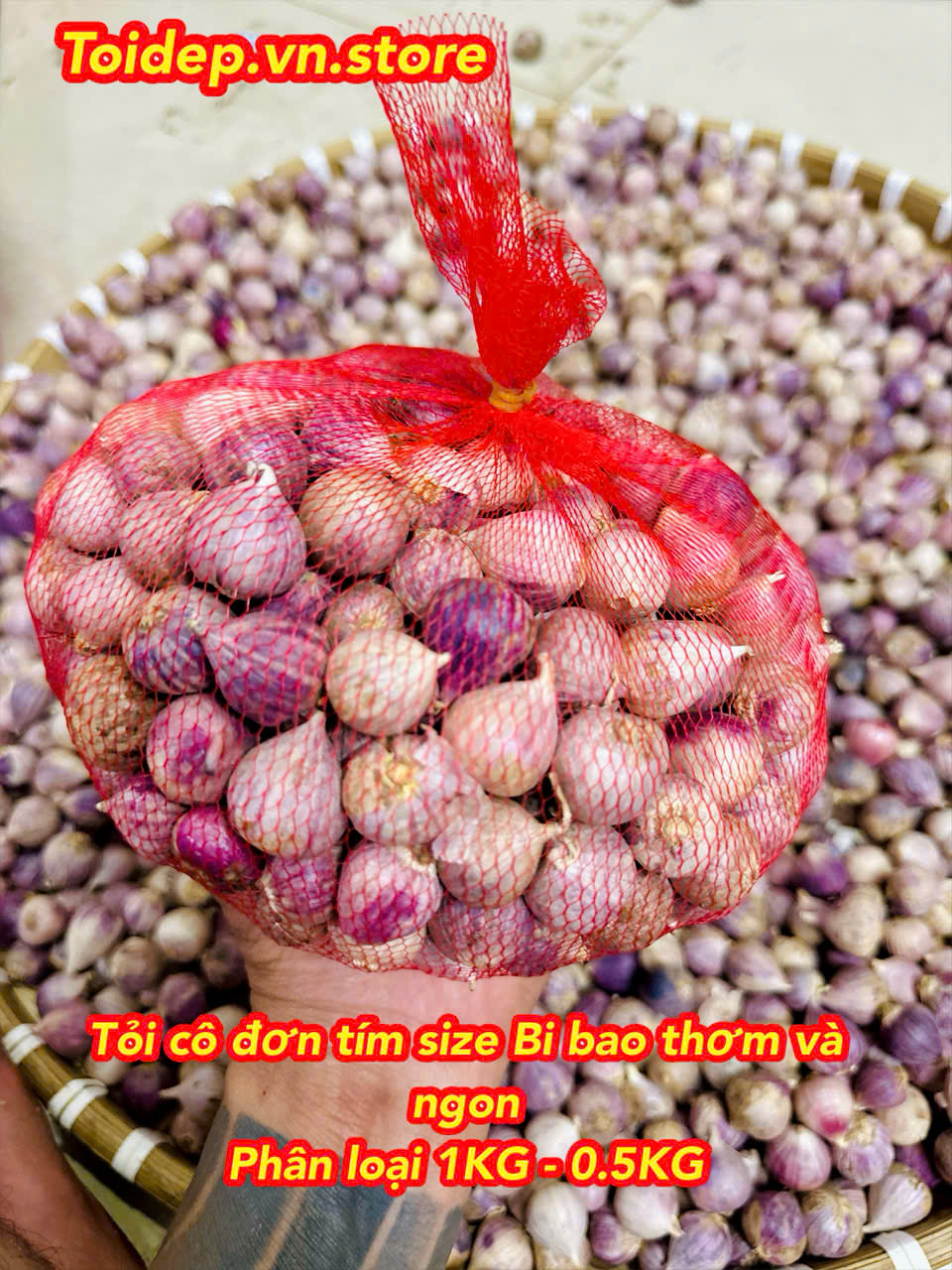Tỏi cô đơn sơn la size nhỏ tím đẹp bao thơm ngon giòn chất lượng đạt chuẩn organic VN,tỏi đen.
