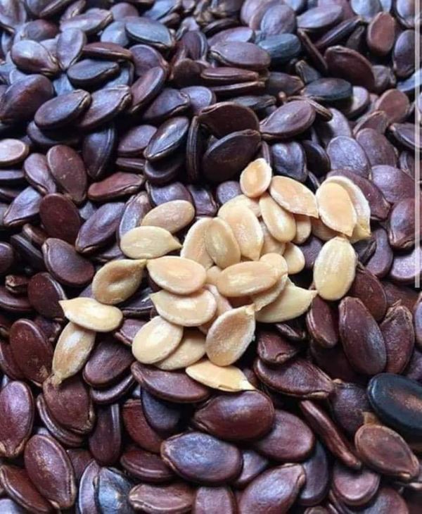 Nửa ký hạt dưa rang bơ muối Thái Sơn Gia Lai