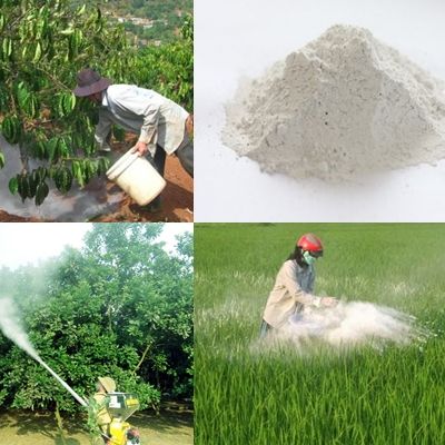 2kg vôi bột nông nghiệp xử lý đất trồng