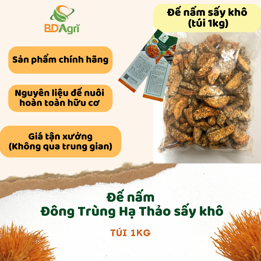 ĐẾ NẤM ĐÔNG TRÙNG HẠ THẢO BDAGRI SẤY KHÔ 1KG