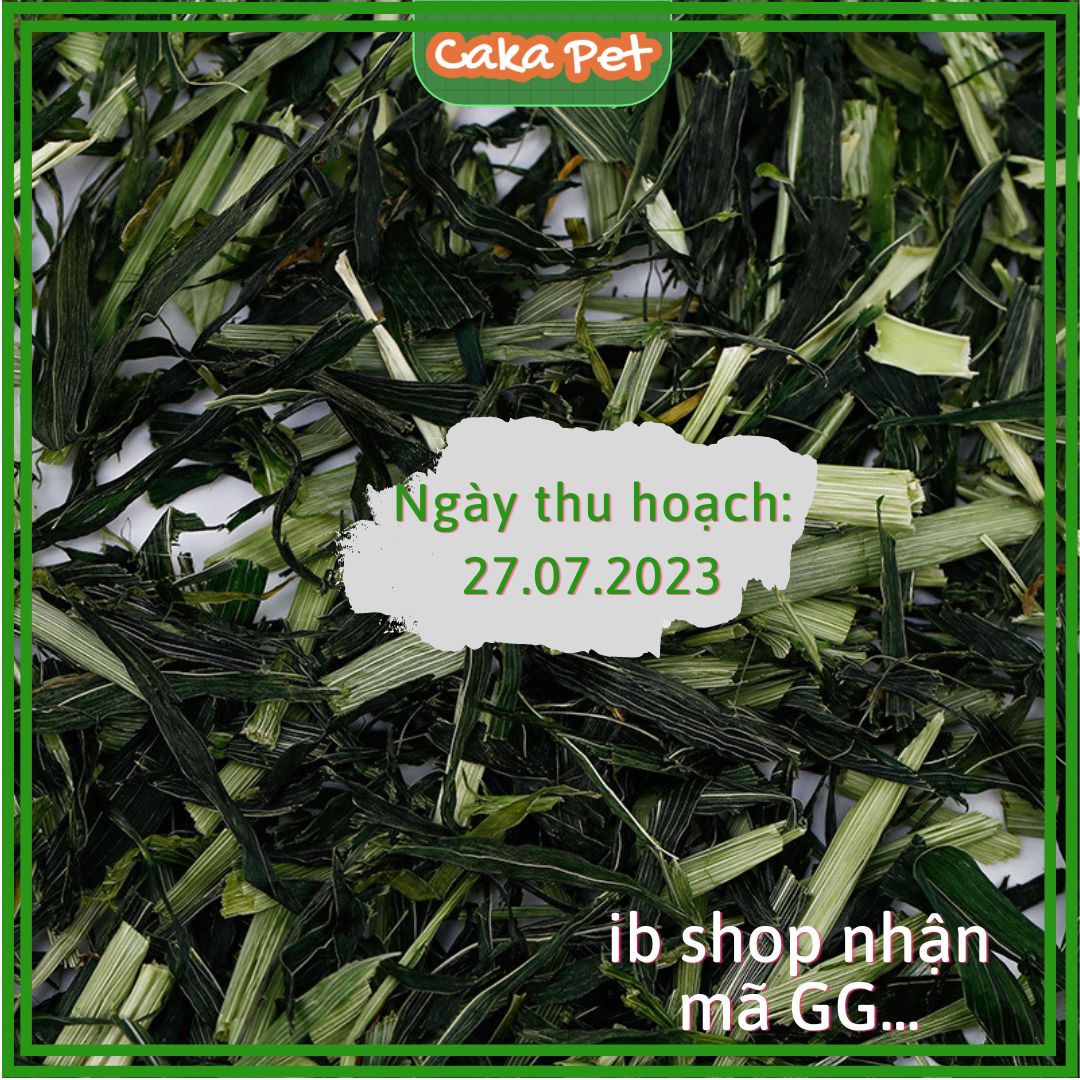 Cỏ lúa mạch cho thỏ, chuột lang, bọ ú, chinchilla 🐰𝙇𝙤𝙖̣𝙞 1 𝙩𝙝𝙤̛𝙢, 𝙭𝙖𝙣𝙝, 𝙙𝙤̂̀𝙞 𝙙𝙖̀𝙤 𝙙𝙞𝙣𝙝 𝙙𝙪̛𝙤̛̃𝙣𝙜 🐹túi 250g - 500g